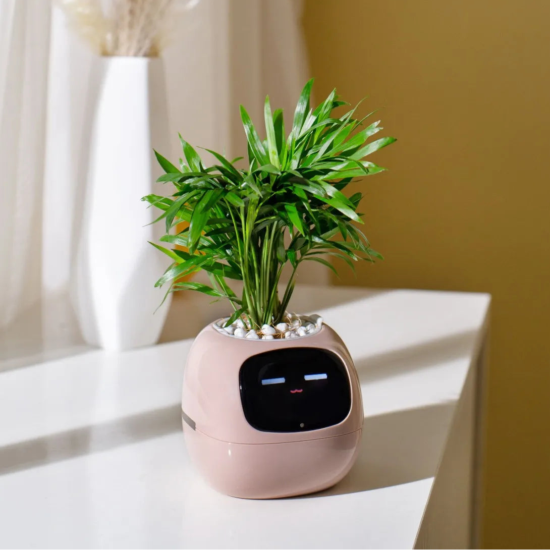 Smart Planter