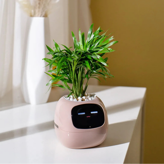 Smart Planter