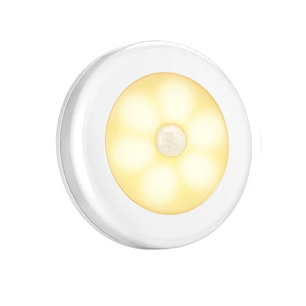 Motion Sensor Light